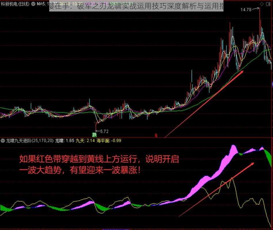 长缨在手：破军之刃龙啸实战运用技巧深度解析与运用指南